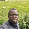 MDangana profil fotoğrafı