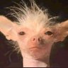 Phenyo's profile picture