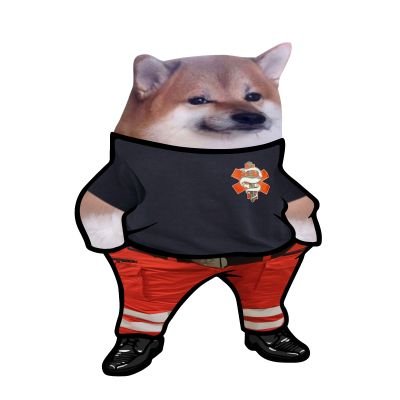 WahmbulanceF's profile picture