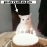 LovelyAmby's profile picture