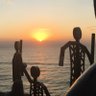 SunShine 的头像