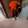 nodripdee ツ profil fotoğrafı