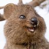 Profilbild von Bob H