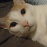 Profilbild von coldcat
