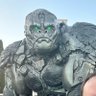 Primal's profile picture