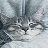 Chalo Ortiz profil fotoğrafı
