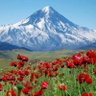 M R N profil fotoğrafı