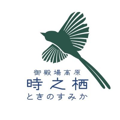 tokinosumika_'s profile picture