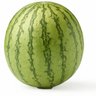 Watermelon profil fotoğrafı