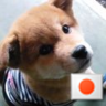 nao's profile picture