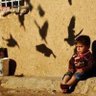 Siga _ثقة_Abdalla's profile picture