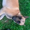 ⌓‿⌓ profil fotoğrafı