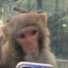 Profilbild von bigOunce
