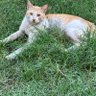 _ profil fotoğrafı