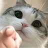 超级无敌宇宙第一暴龙战士 profil fotoğrafı