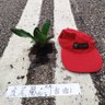2952斤全过程胖子 的头像
