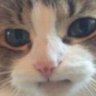 Profilbild von R (formerly N)