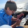 Salvador's profile picture
