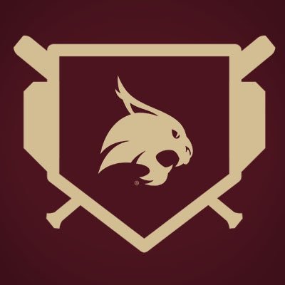 Texas State Softball's profile picture