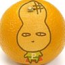 Фото профиля 839news@ときどき秋葉原