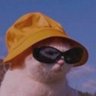 WrxppdOnXbox's profile picture