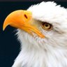 รguila Blanca's profile picture