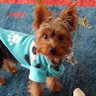 Elisa_aquarela's profile picture