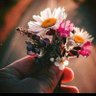 Фото профиля Clarice 🌻