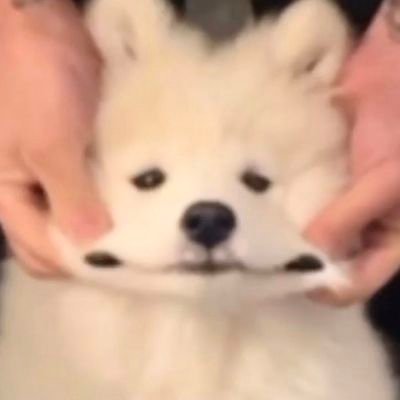 무sick ૮ .◜◡◝ ა's profile picture