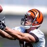 Profilbild von Infamous Former Bengals