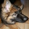 Tina's profile picture