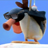 penguin profil fotoğrafı