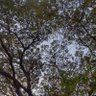 pradeesh.PK profil fotoğrafı