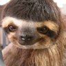 Bimbijim's profile picture