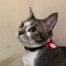 ขอเสือกหน่อย's profile picture