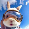 刘天阳 profil fotoğrafı