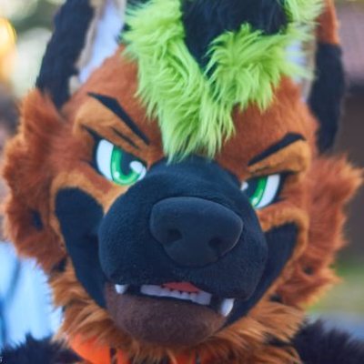 DELTA - VIKING 🔜 NFC's profile picture