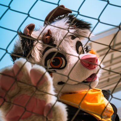 Marble 》IWAG's profile picture