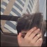 عباسـ النتفهـ 🐾's profile picture