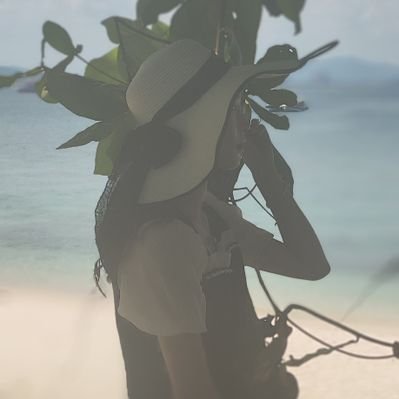 shitou131's profile picture