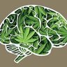CLOUDYMINDS profil fotoğrafı