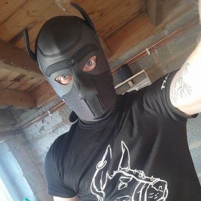 DergNutteR's profile picture