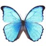 eurynome profil fotoğrafı