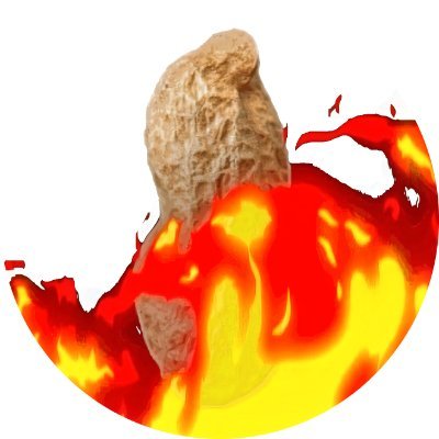 theburntpeanut's profile picture