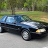 Foxbody's profile picture