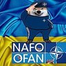 nafo style 🇫🇷🇪🇺 的头像