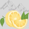 Фото профиля A Little Lemon Writes