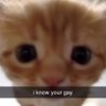 slut dragon's profile picture