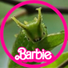 Profilbild von READ PINNED