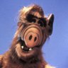 Фото профиля Alf